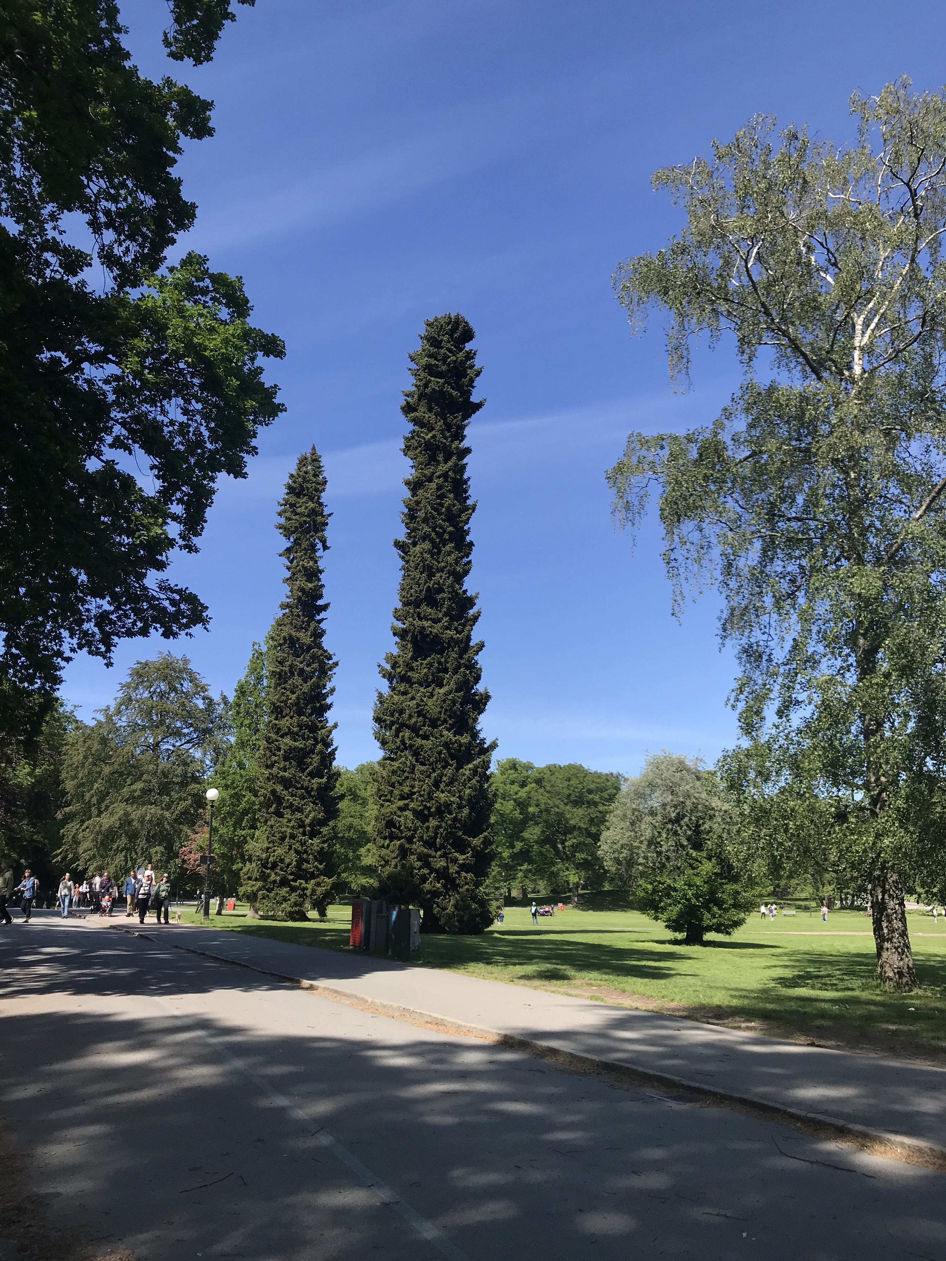 Slottsskogen park, Gothenburg, Sweden